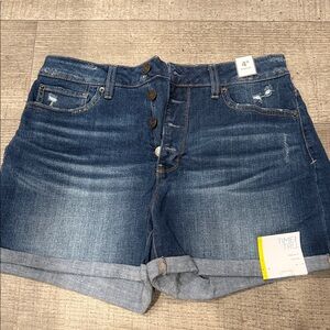 Time and Tru Women's Blue Jean Shorts